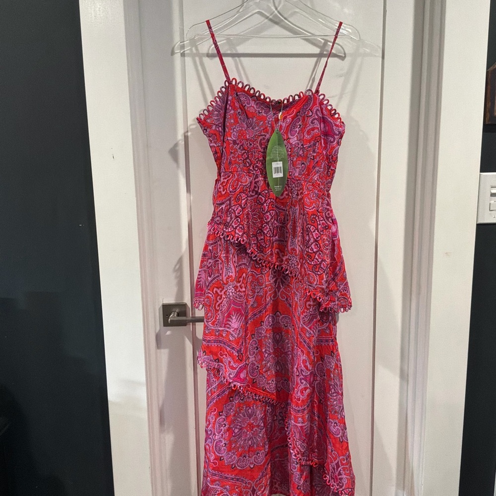 FARM Rio Pink and Red Paisley Dress